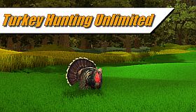 Turkey Hunting Unlimited
