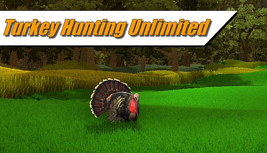 Turkey Hunting Unlimited