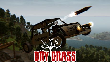 Dry Grass Game