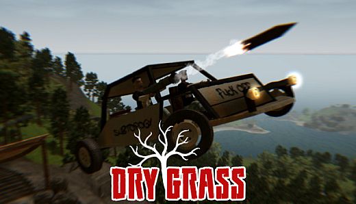 Dry Grass