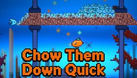 Chow Them Down Quick