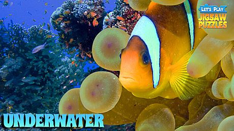 Let's Play Jigsaw Puzzles: Underwater DLC