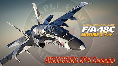 F/A-18C: Aggressors BFM Campaign DLC