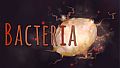 Bacteria Collector's Edition Content