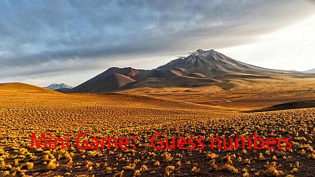 Mini Game：Guess numbers Game