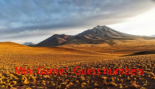 Mini Game：Guess numbers