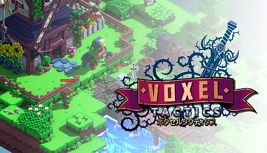 Voxel Tactics