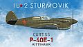 IL-2 Sturmovik: P-40E-1 Collector Plane