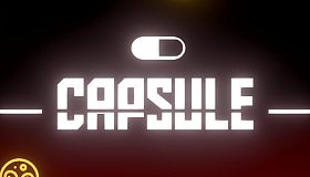 Capsule