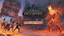 Pillars of Eternity II: Deadfire - Seeker, Slayer, Survivor für PC kaufen