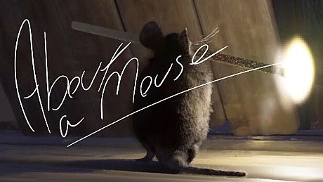 About A Mouse Game