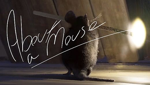About A Mouse