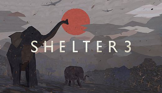 Shelter 3