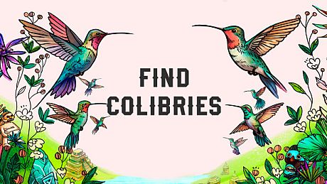 Find Colibries Game
