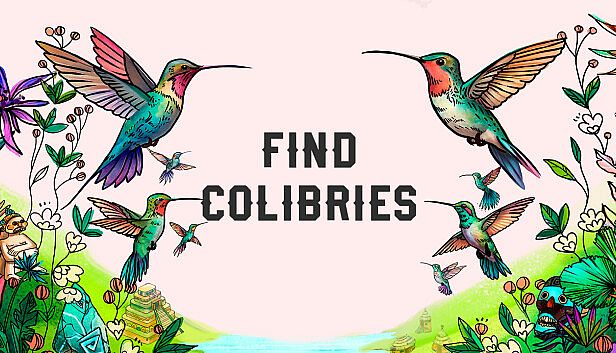 Buy Find Colibries