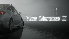 The Wanted 3 Third anniversary car bag