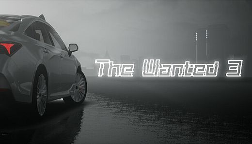 The Wanted 3 Third anniversary car bag