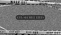 SEX KILLS - CIA SECRET FILES für PC kaufen