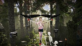 The Forest Cathedral