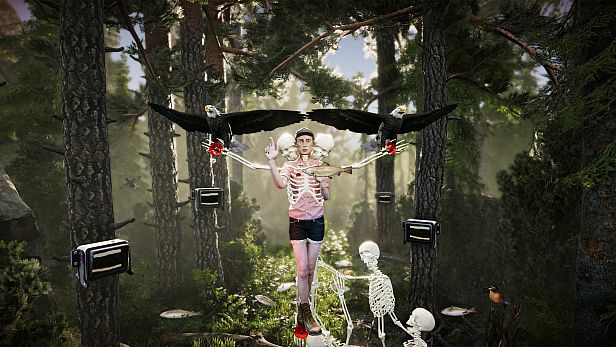 Buy The Forest Cathedral