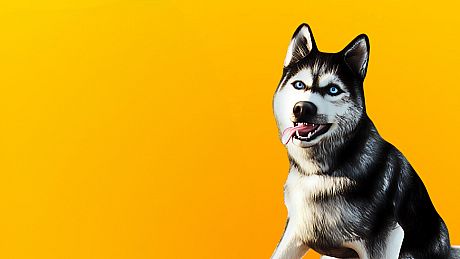 Animal Trainer Simulator Game