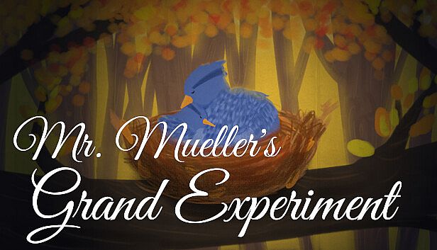 Buy Mr. Mueller's Grand Experiment