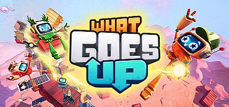 What Goes Up Game