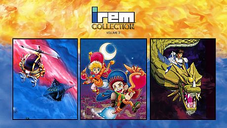 Irem Collection Volume 3 Game