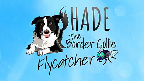 SHADE The Border Collie Flycatcher Game