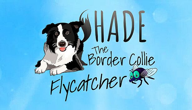 Buy SHADE The Border Collie Flycatcher