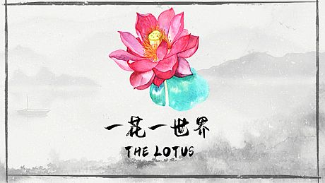 一花一世界 | The Lotus Game