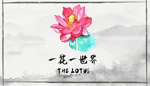 一花一世界 | The Lotus