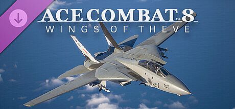 ACE COMBAT 8 - Playable Aircraft: F-14A