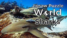 Jigsaw Puzzle World - Sharks