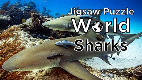 Jigsaw Puzzle World - Sharks DLC