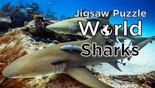 Jigsaw Puzzle World - Sharks