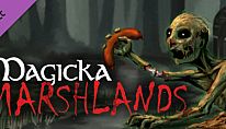 Buy Magicka: Marshlands PC