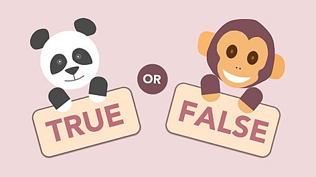True or False Game