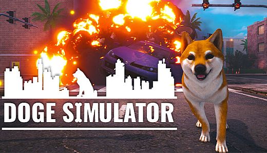 Doge Simulator