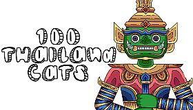 100 Thailand Cats