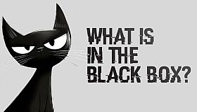 What is in the Black Box?