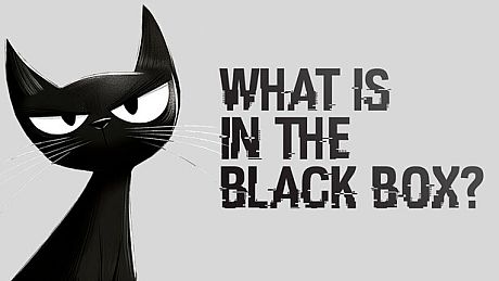 What is in the Black Box?