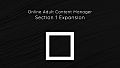 Online Adult Content Manager - Section Expansion 1