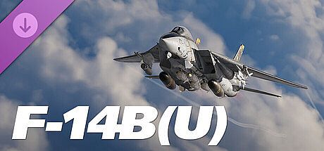 DCS: F-14B(U) by Heatblur Simulations DLC