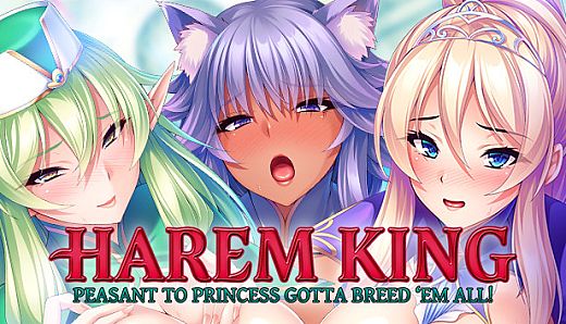 Harem King: Peasant to Princess Gotta Breed 'Em All!