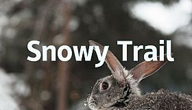 Snowy Trail