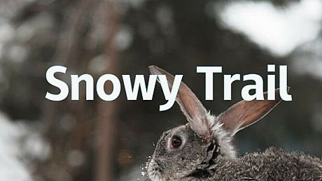 Snowy Trail Game