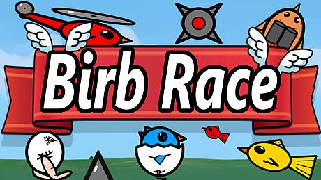 Birb Race Game