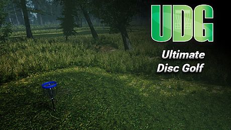 Ultimate Disc Golf Game