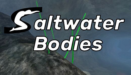 Saltwater Bodies